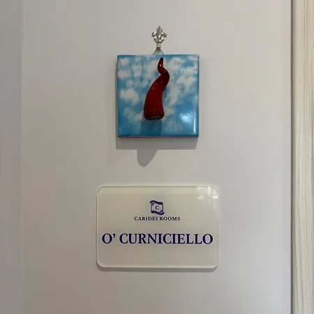 Caridei 招待所 那不勒斯